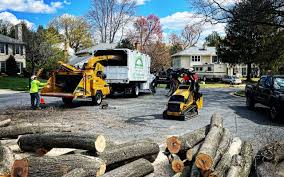 Best Sod Installation  in Dover Plains, NY