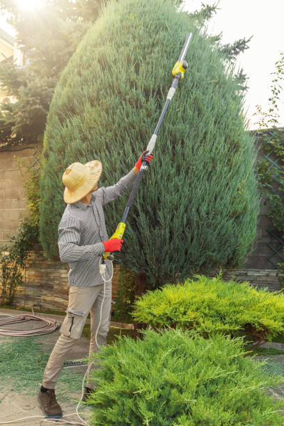 Best Grass Overseeding  in Dover Plains, NY